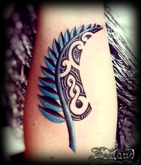  Nz  Fern Tattoo  Zealand Tattoo 