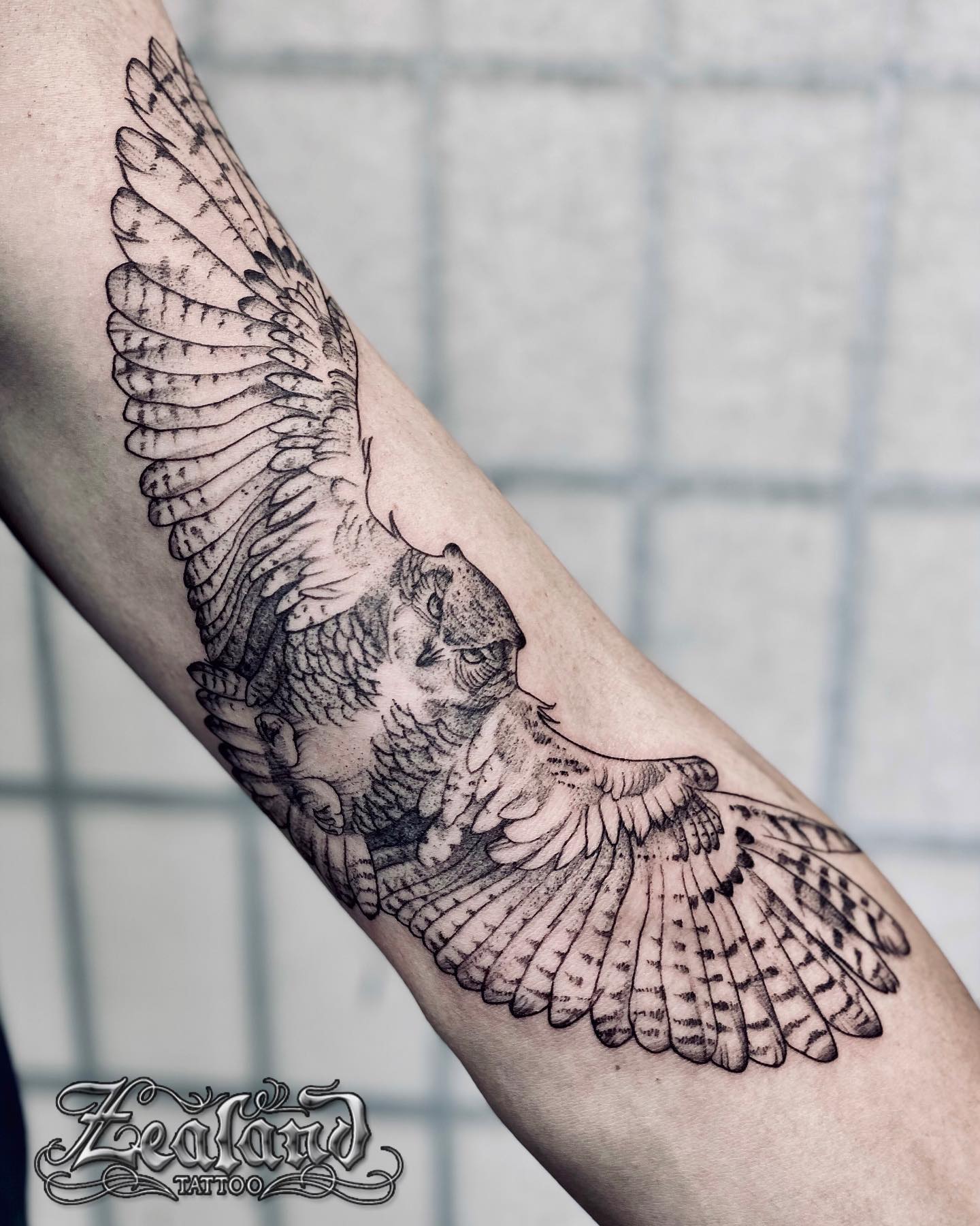 black  gray owl  rose tattoo  tattoo artist Salva Navalón    Owl tattoo design Rose tattoo design Owl tattoo  sleeve